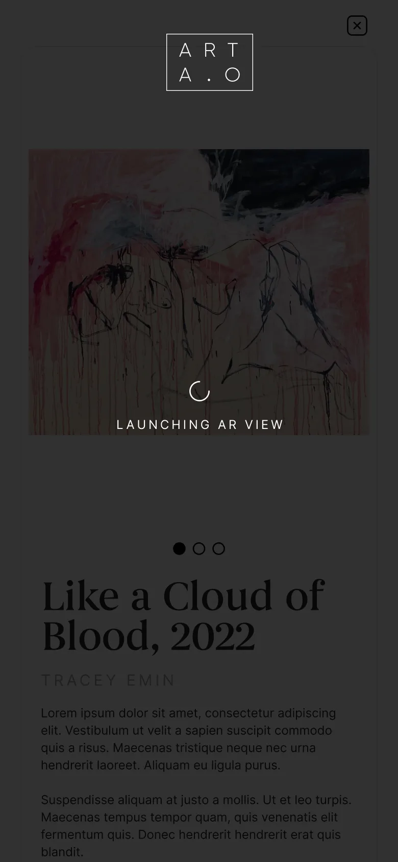 Art Advisor One launch screen on mobile